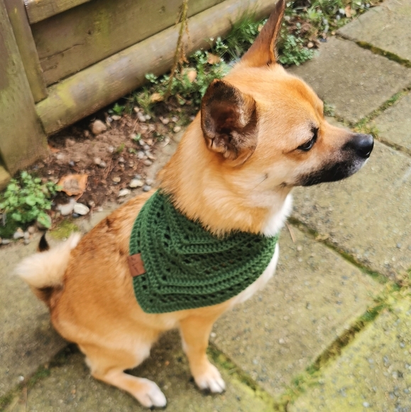 The Kovirian Kerchief Handmade Dog Bandana - Picture 5 of 5